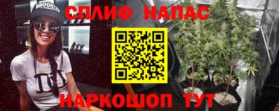 кокс Донской