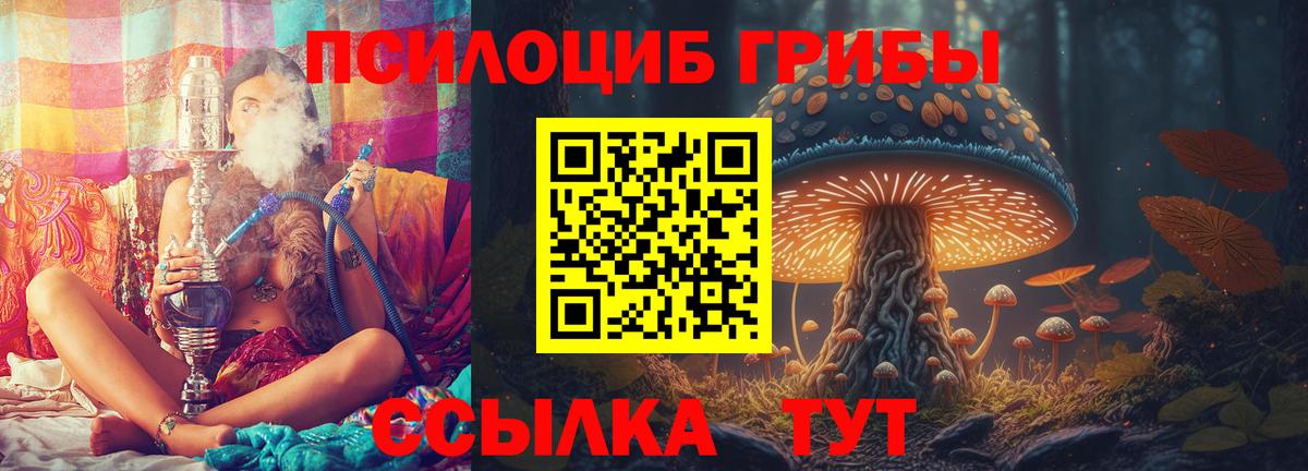 Псилоцибиновые грибы прущие грибы  Псилоцибиновые грибы мухоморы  Вход с VPN  Ликино-Дулёво 