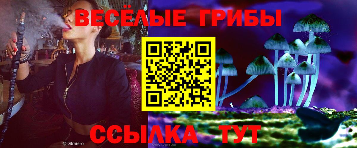 Галлюциногенные грибы Cubensis Ликино-Дулёво